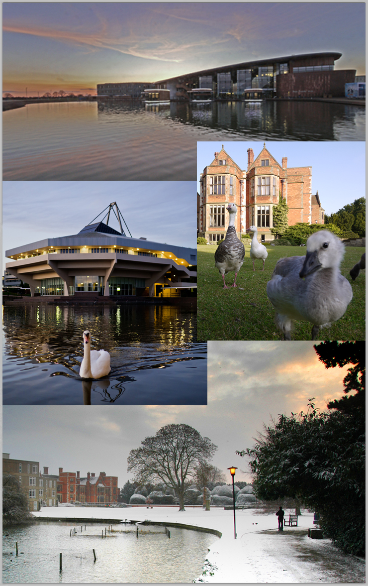 Thumbnail composite of pictures of the University of York